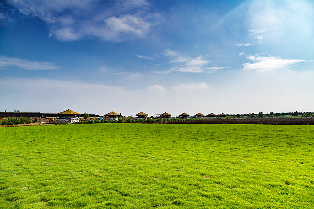 ��չ����