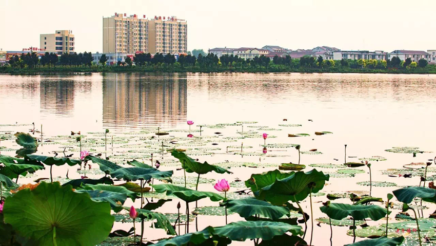 ˮ������