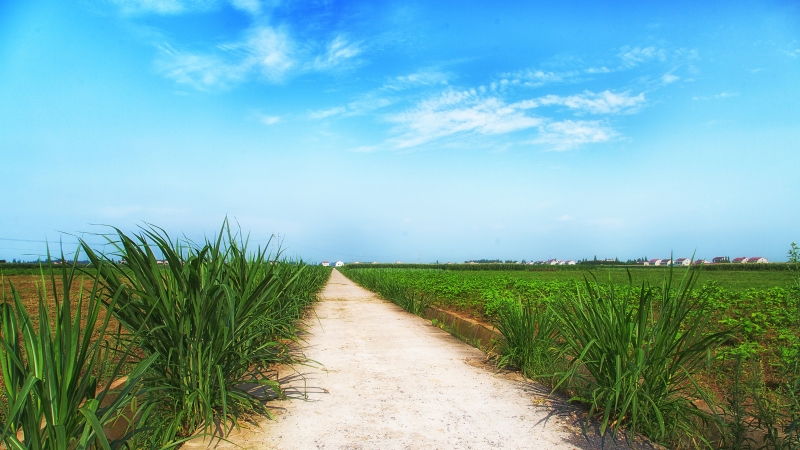 ��ޣ����